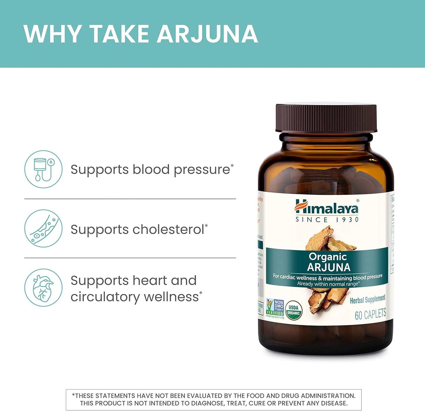 Arjuna (Terminalia arjuna) – Ayurvedic Cardiovascular Support
