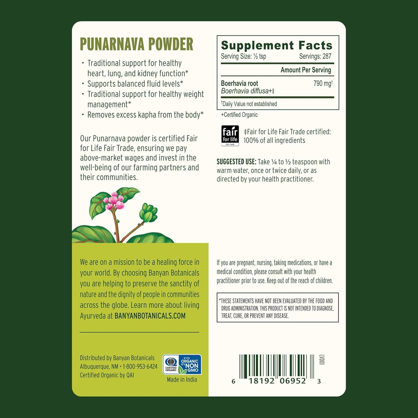 Punarnava – Ayurvedic Herb for Kidney Health, Swelling & Water Balance