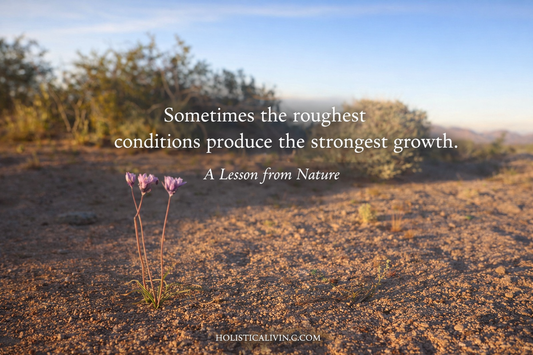 When Growth Appears in Unexpected Places: Lessons from the Desert