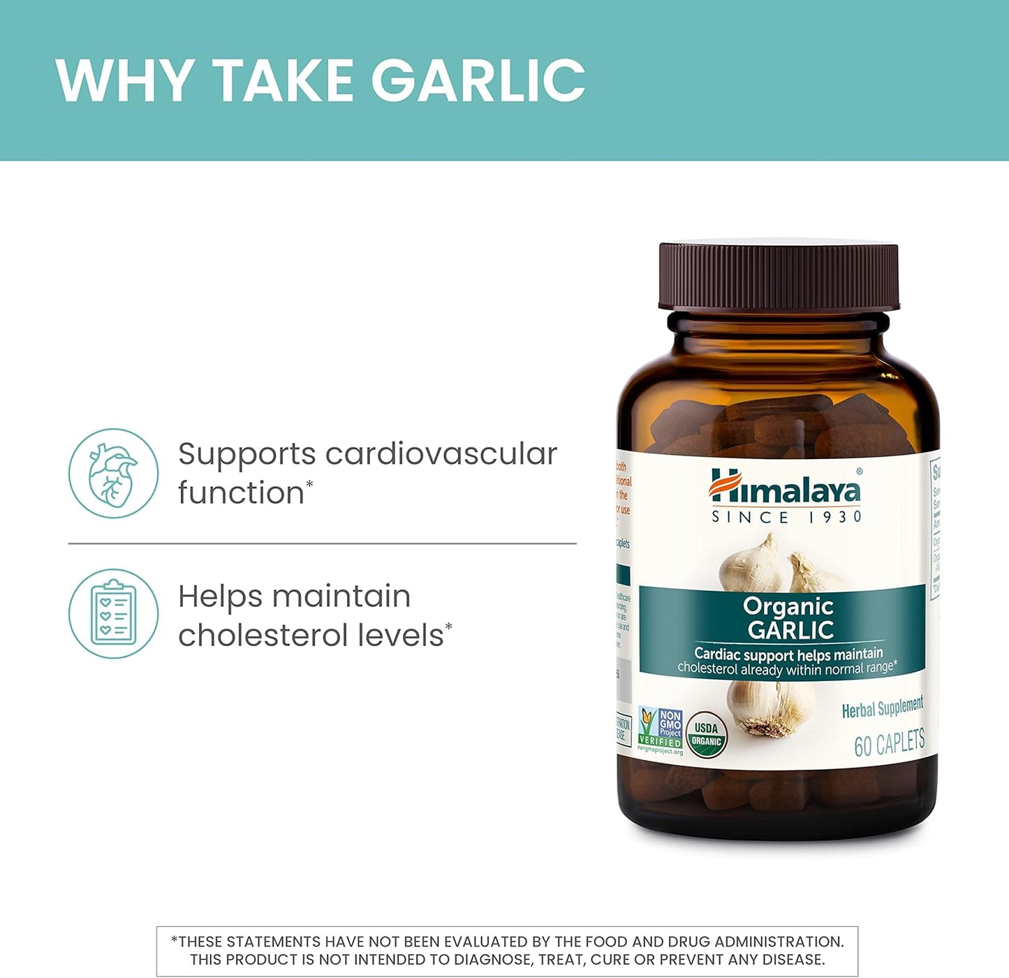 Garlic (Lasuna) – Ayurvedic Circulatory & Heart Support
