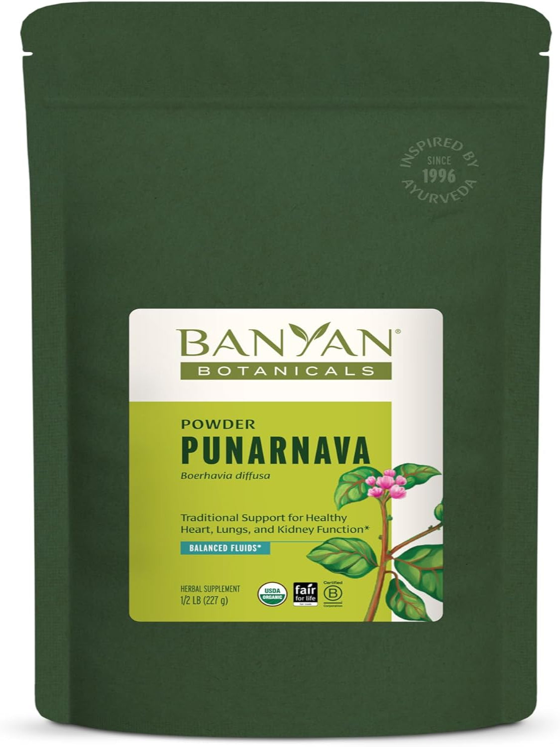 Punarnava – Ayurvedic Herb for Kidney Health, Swelling & Water Balance