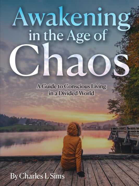 Awakening in the Age of Chaos: A Guide to Conscious Living in a Divided World